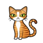 domestic cat breeds android application logo